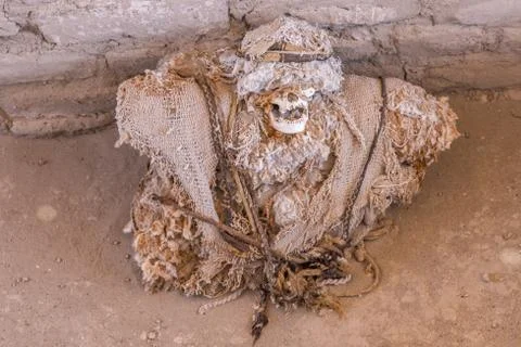Mummy Stock Photos