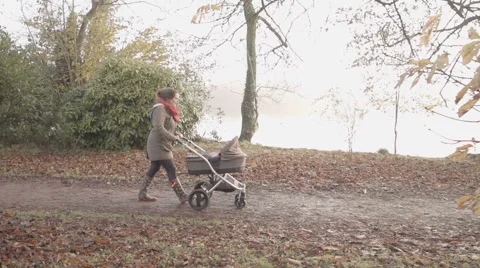 Mummy Pushing A Buggy Stroller With Her New Born Baby Stock Footage 60837613