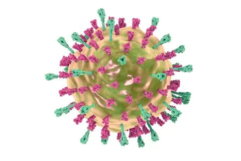 Mumps virus, illustration Stock Illustration