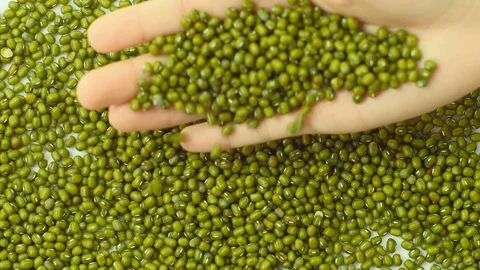 Mung bean falling from hand. 库存影片 89612729