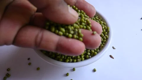 Mung bean. Stockbeeldmateriaal 255831267