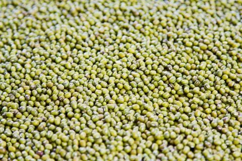 Mung bean Foto stock