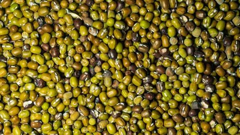 Mung bean seeds for sprouting Stock Photos