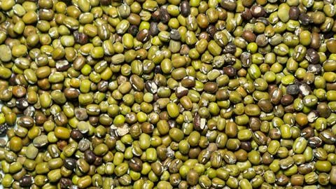 Mung bean seeds for sprouting Stock Photos