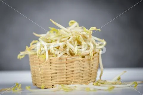 Mung bean sprout for food - bean sprouts cup on wooden Background Stock Photos