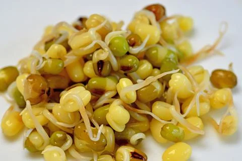 Mung bean sprouts in a macro Stock Photos