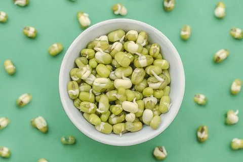 Mung bean sprouts Stock Photos