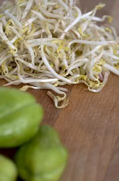 Mung bean sprouts Stock Photos