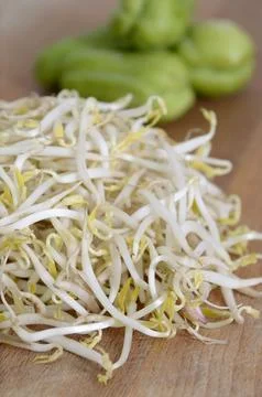 Mung bean sprouts Stock Photos