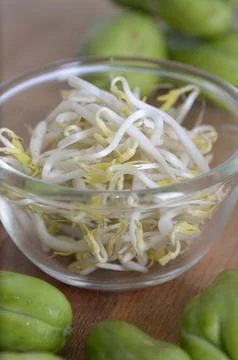 Mung bean sprouts Stock Photos