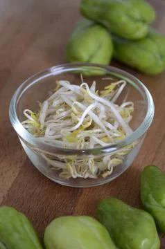 Mung bean sprouts Stock Photos