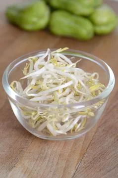 Mung bean sprouts Stock Photos