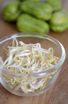 Mung bean sprouts Stock Photos