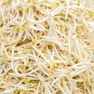Mung beans , bean sprouts Stock-Fotos