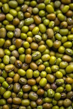 Mung beans fill the frame, presenting a whole grain texture ideal for showcas Stock Photos