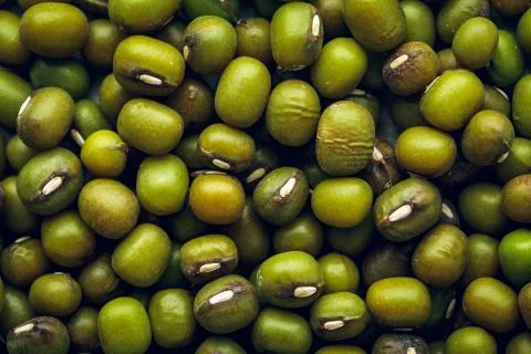 Mung beans macro Background Stock Photos