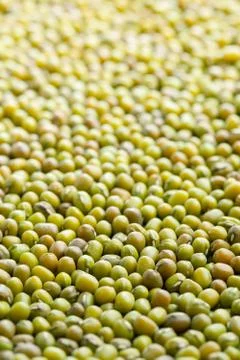 Mung beans Stock Photos