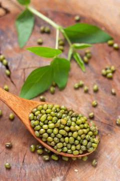 Mung beans Stock Photos