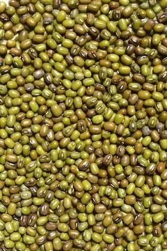 Mung beans Stock Photos