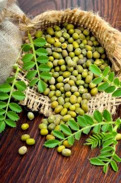 Mung beans in a sack. Stock Photos