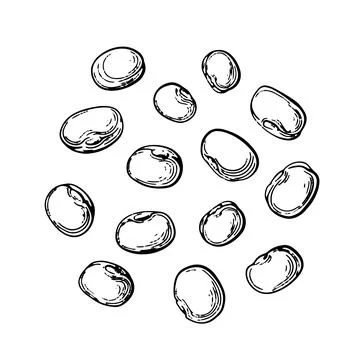 Mung beans Vector graphic set Natural protein food Stock Illustration