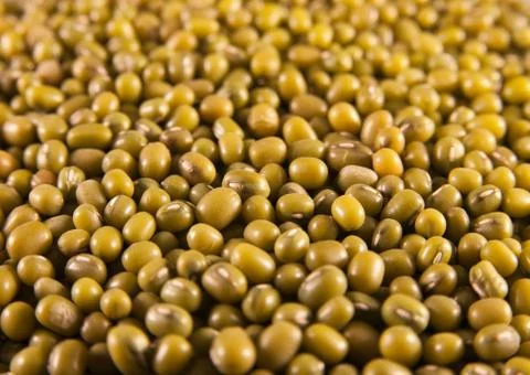 Mung (moong) beans Stock Photos