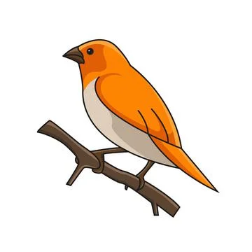 Munia bird sitting on a tree branch cartoon vector Stock Illustration