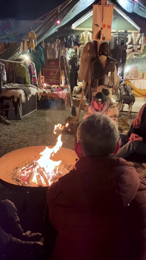 Munich, Germany, February 5, 2025: Friends Enjoy Evening Around a Warm Fire in a Stock Footage 301299538