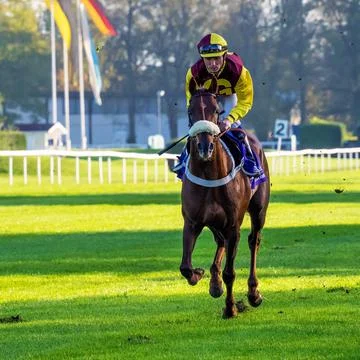 Munich, Germany - Oct 07, 2019: Horse racing at the racecourse in Munich-Riem Stock Photos