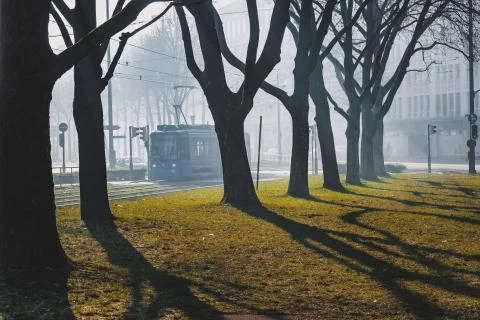 Munich winter day Stock Photos