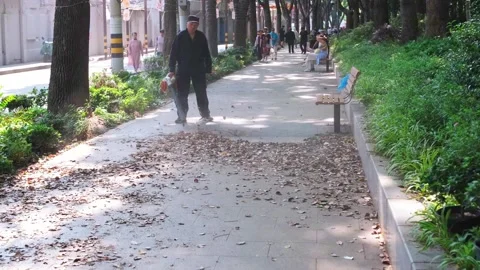 Municipal worker uses leaf blower to clear fallen leaves on shanghai park Stock Footage 337459593