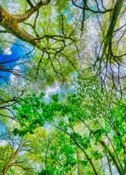 Munk Meadows Stock Photos