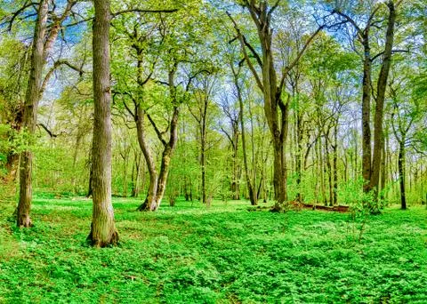 Munk Meadows Stock Photos