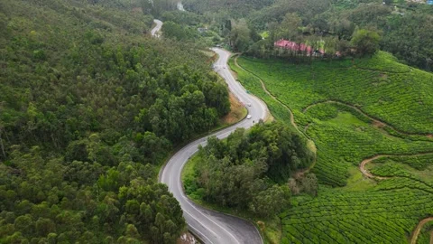 Munnar Drone Stock Footage 314517553