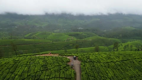 Munnar drone Shot Stock Footage 314517554