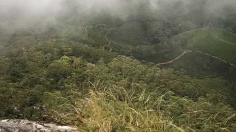 MUNNAR, India - high angle shot looking down through clouds to a tea plantations Stock Footage 86294892