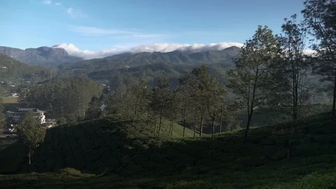 MUNNAR, India - panning shot of a tea plantation in the Munnar hill station Video stock 86293715