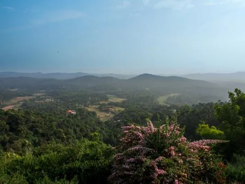 Munnar Landscape Stock Photos
