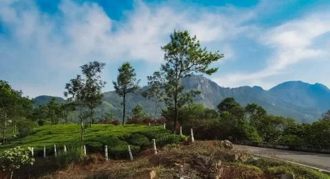 Munnar Landscape Stock Photos