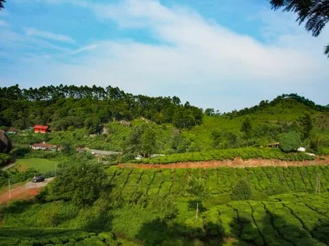 Munnar Landscape Stock Photos