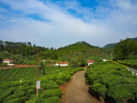 Munnar Landscape Stock Photos