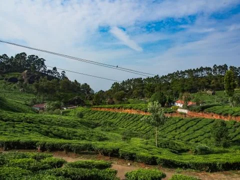 Munnar Landscape Stock Photos