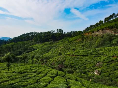 Munnar Landscape Stock Photos