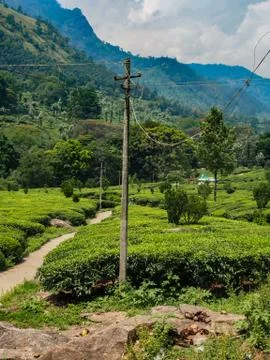 Munnar Landscape Stock Photos