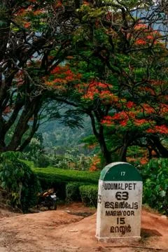 Munnar Landscape Stock Photos