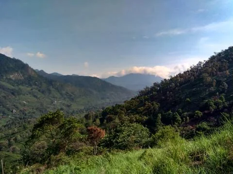 Munnar Landscape 写真素材
