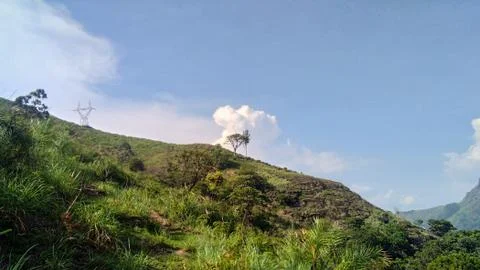 Munnar Landscape Stock Photos