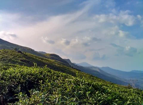 Munnar Landscape Stock Photos