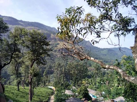 Munnar Landscape Stock Photos