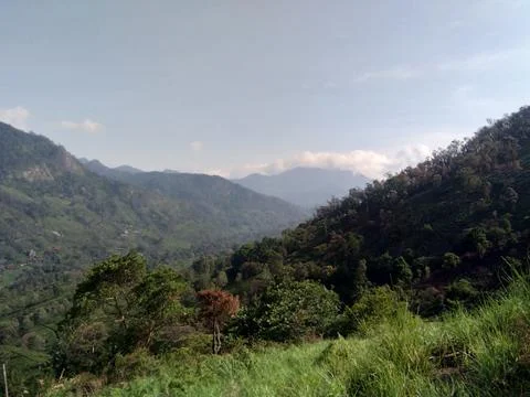 Munnar Landscape Stock Photos